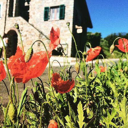 Bracelli Agriturismo Angio Nel Cere מראה חיצוני תמונה