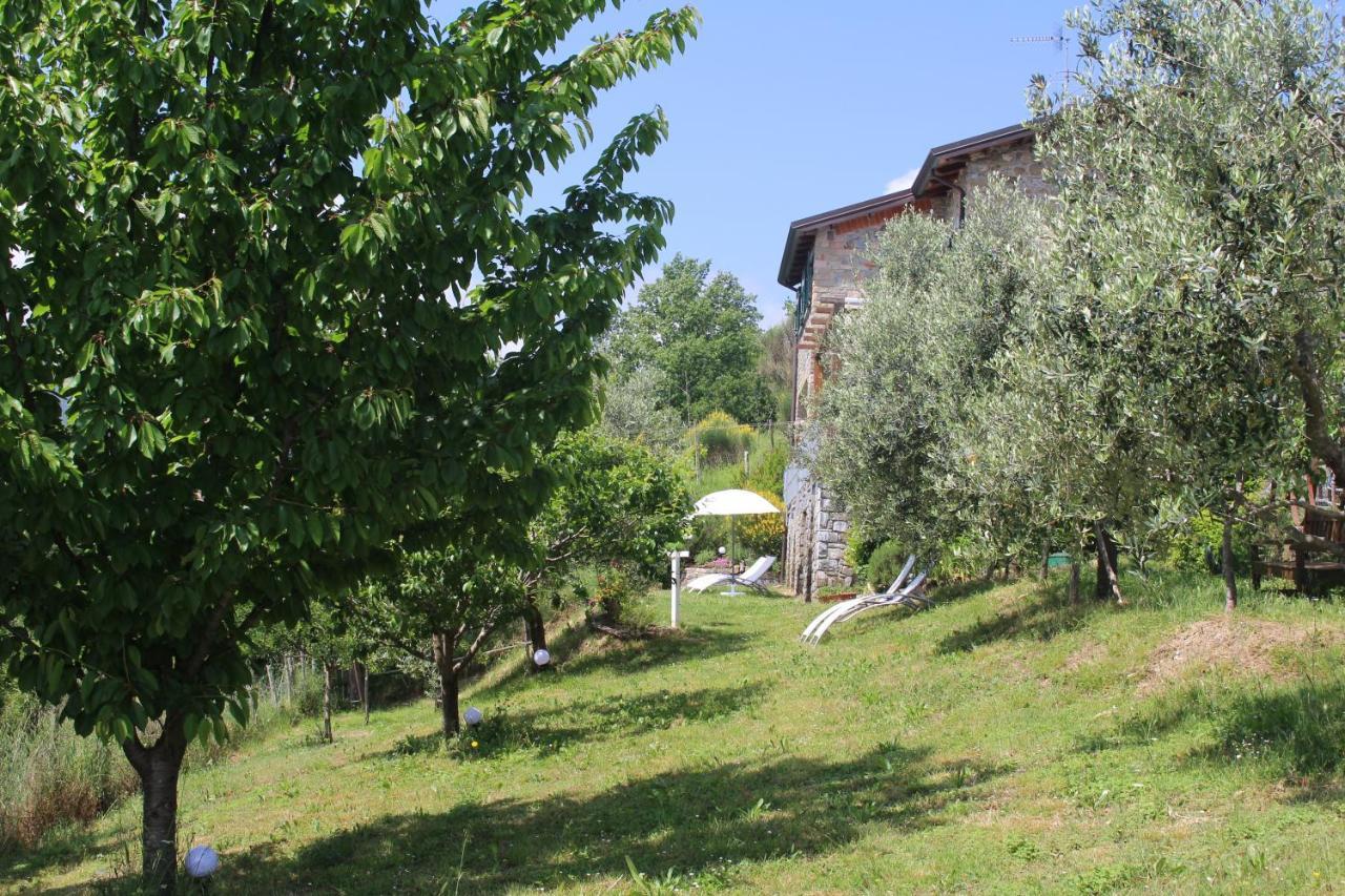 Bracelli Agriturismo Angio Nel Cere מראה חיצוני תמונה