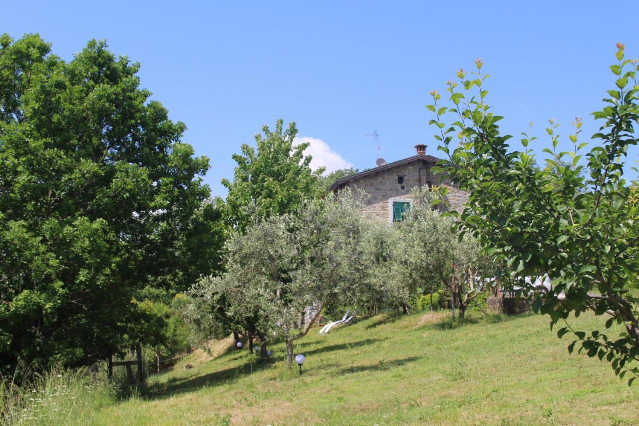 Bracelli Agriturismo Angio Nel Cere מראה חיצוני תמונה