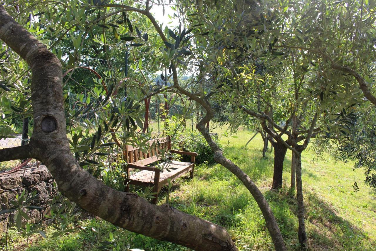 Bracelli Agriturismo Angio Nel Cere מראה חיצוני תמונה