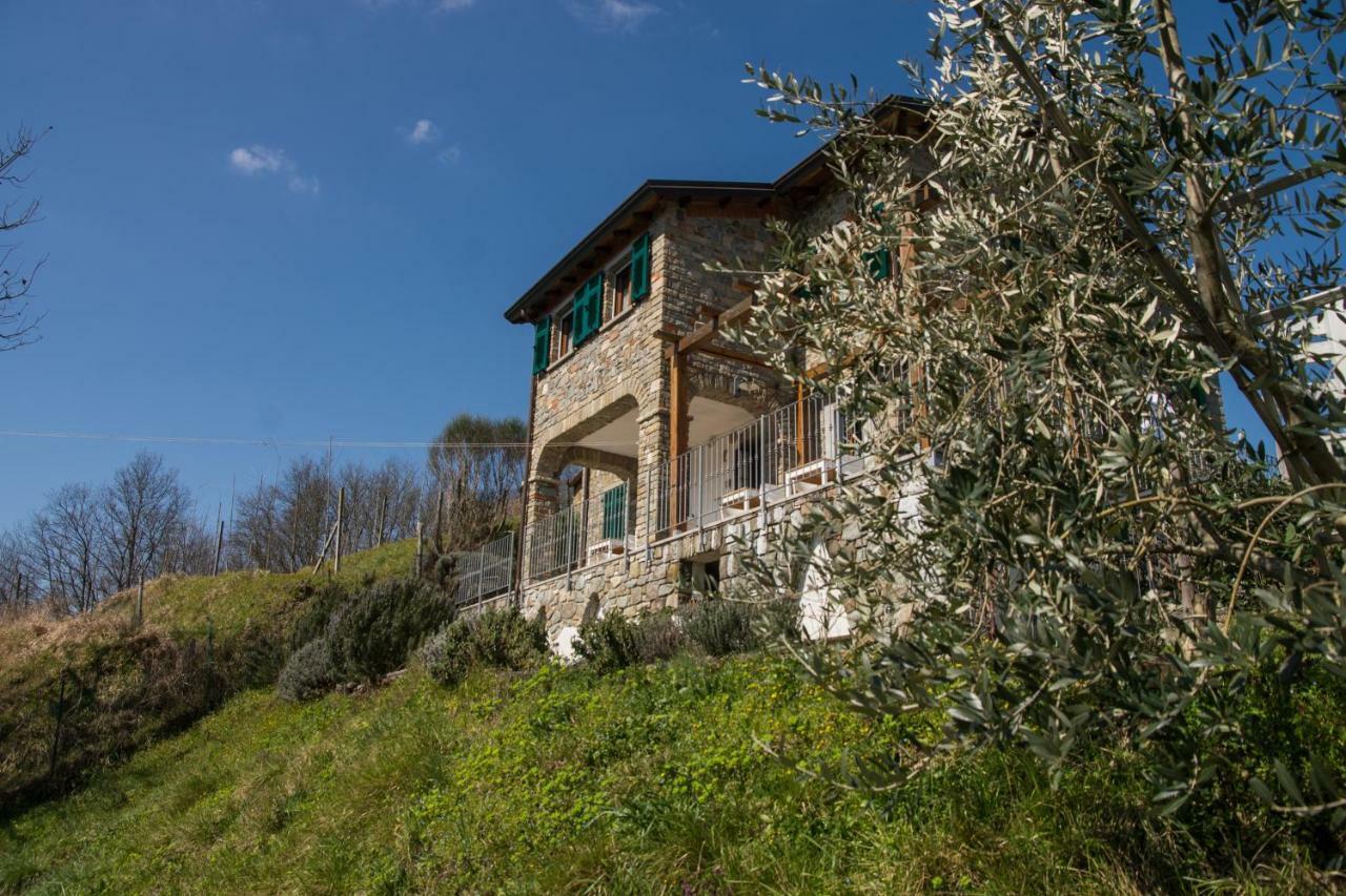 Bracelli Agriturismo Angio Nel Cere מראה חיצוני תמונה
