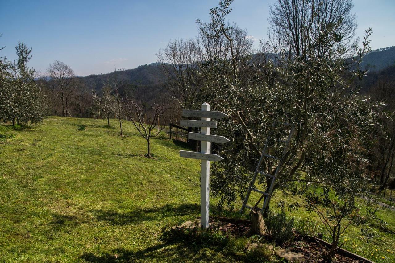 Bracelli Agriturismo Angio Nel Cere מראה חיצוני תמונה